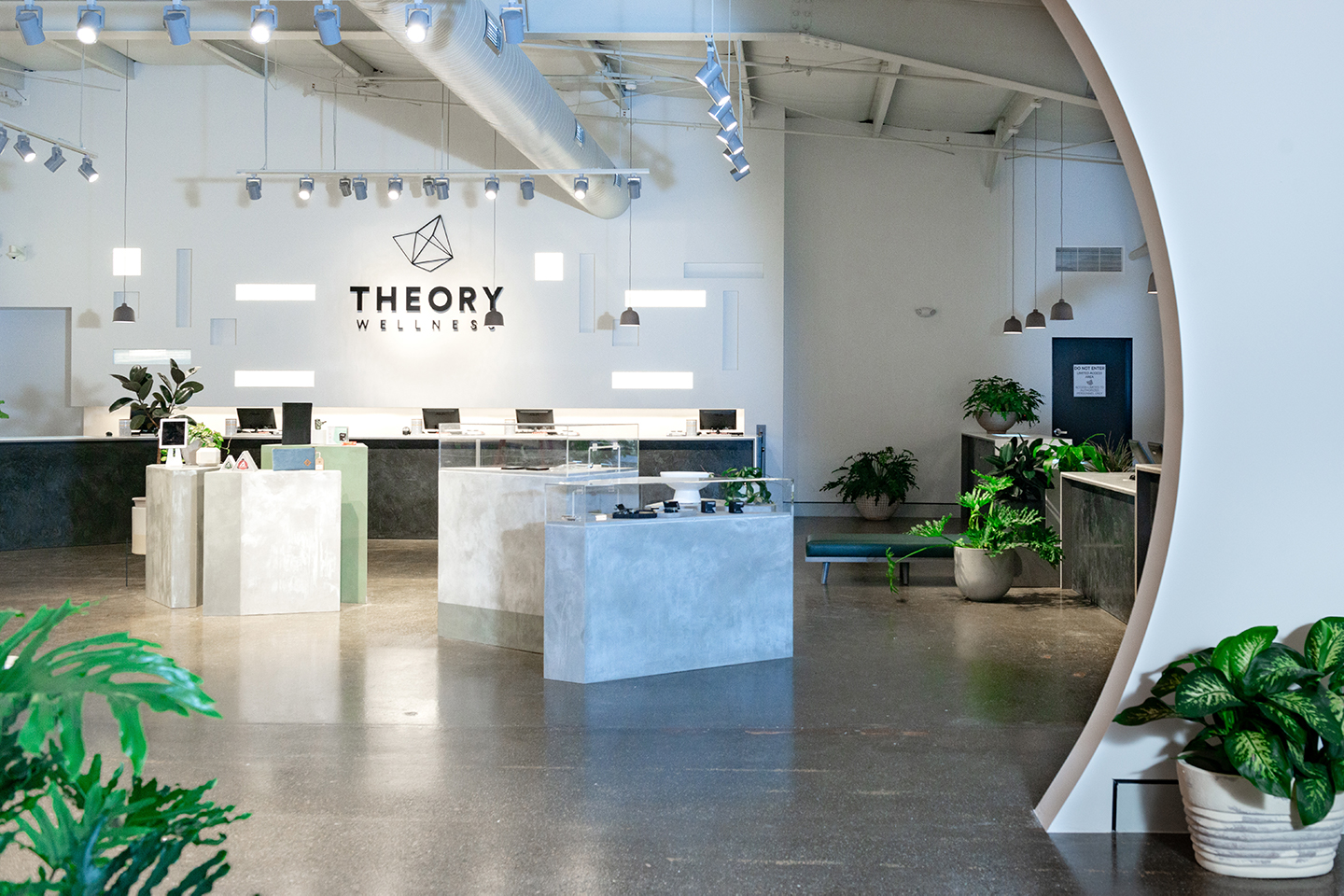 Media Theory Wellness