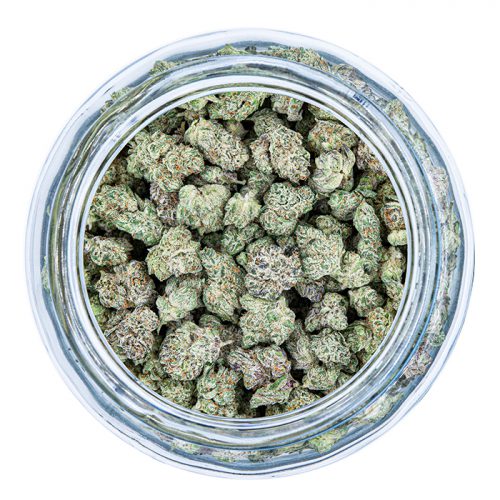 Massachusetts Dispensary Recreational Cannabis Theory Wellness