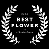 2018 Best Flower in the Birkshires
