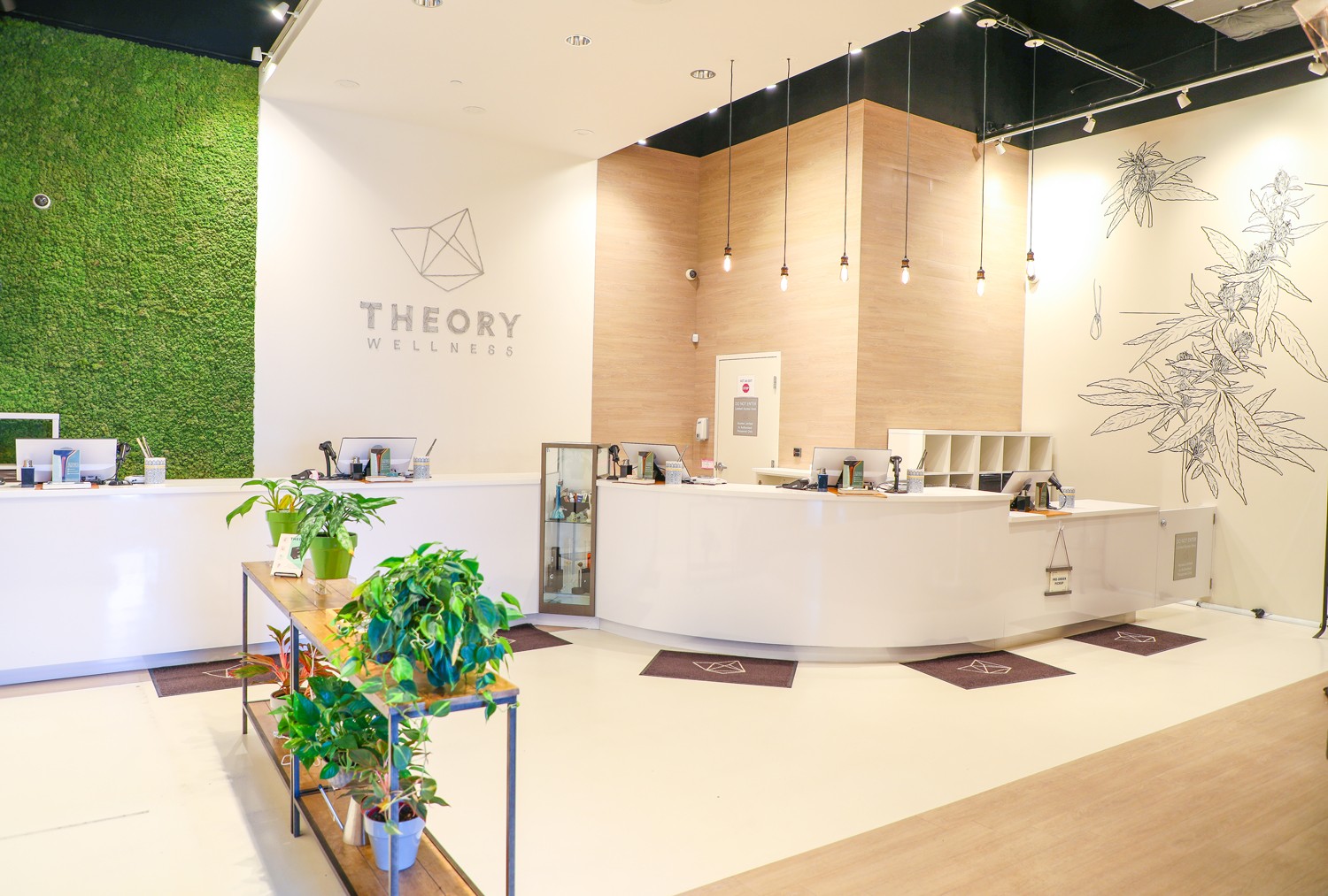 Theory Wellness: Brattleboro Recreational Cannabis Dispensary Theory Wellness Medical Cannabis Delivery - Theory Wellness